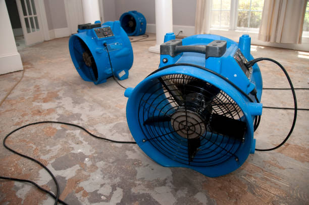 Best Water damage cleanup near me  in West Brownsville, PA