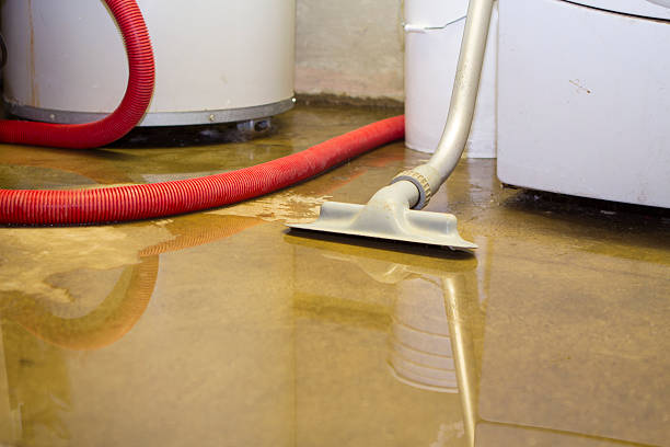 Best 24/7 water damage repair  in West Brownsville, PA