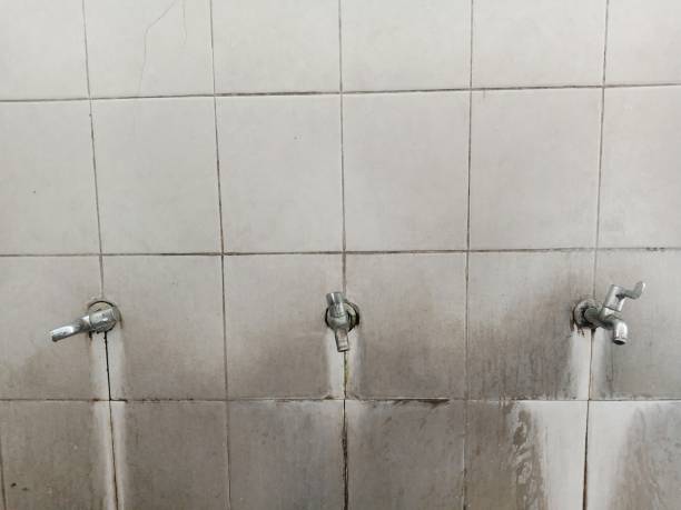 Best Local water damage restoration  in West Brownsville, PA