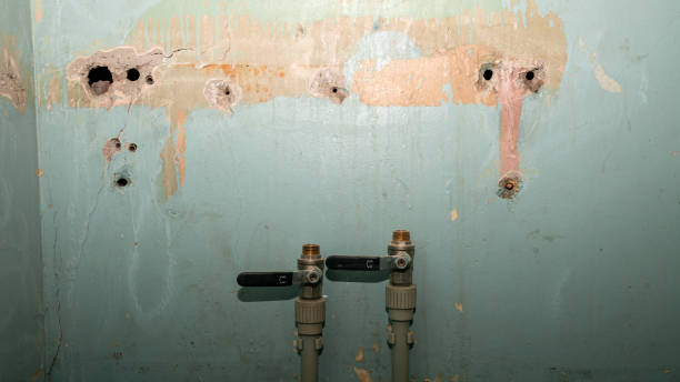 Water damage restoration mold remediation in West Brownsville, PA