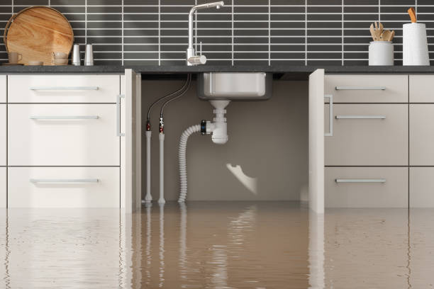 Best Water damage restoration process  in West Brownsville, PA